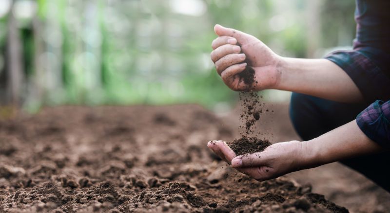 Earth Moving Service
