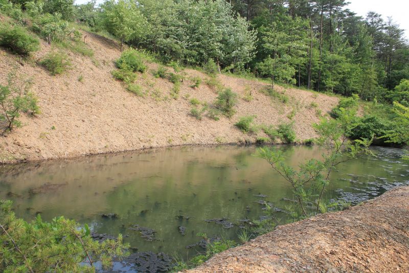 Erosion Repair