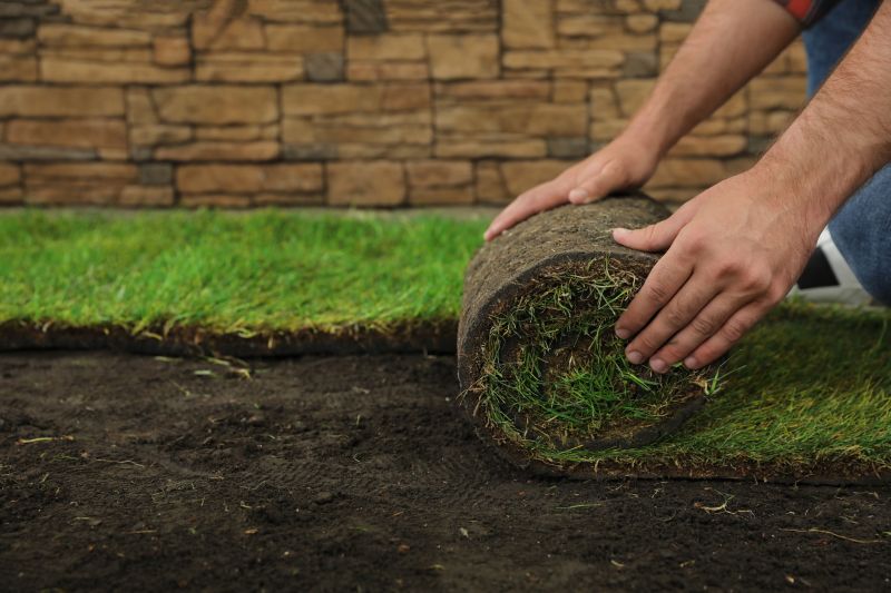 Topsoil Installation